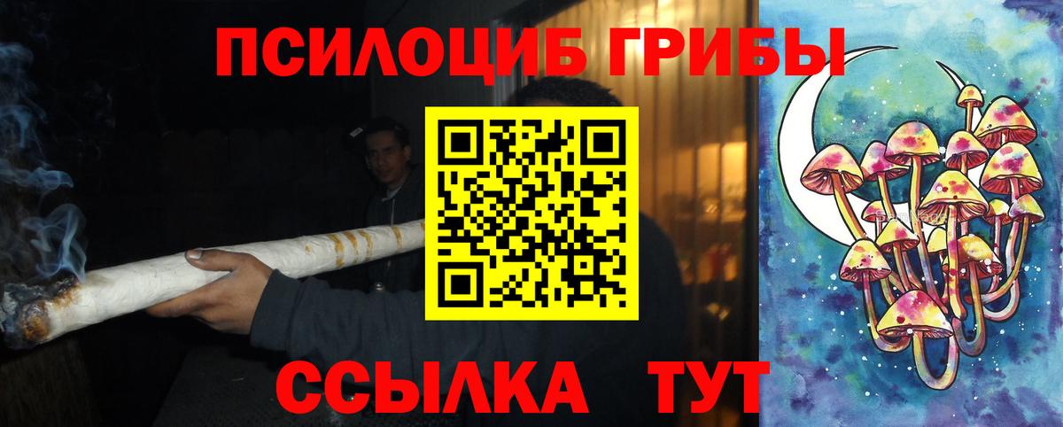 Псилоцибиновые грибы Psilocybe  Галлюциногенные грибы мухоморы  Улан-Удэ  Вход с VPN 